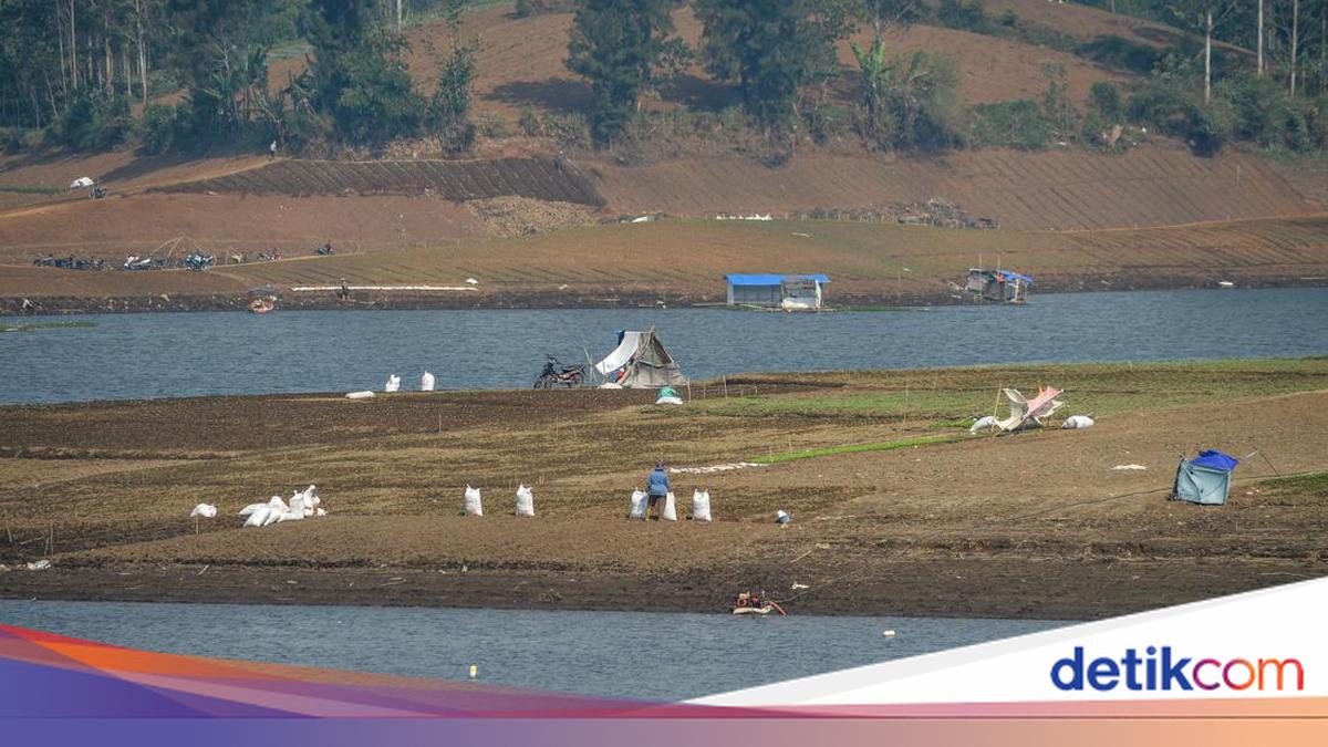 Kemarau Panjang, Situ Cileunca Menyusut hingga 40 Meter